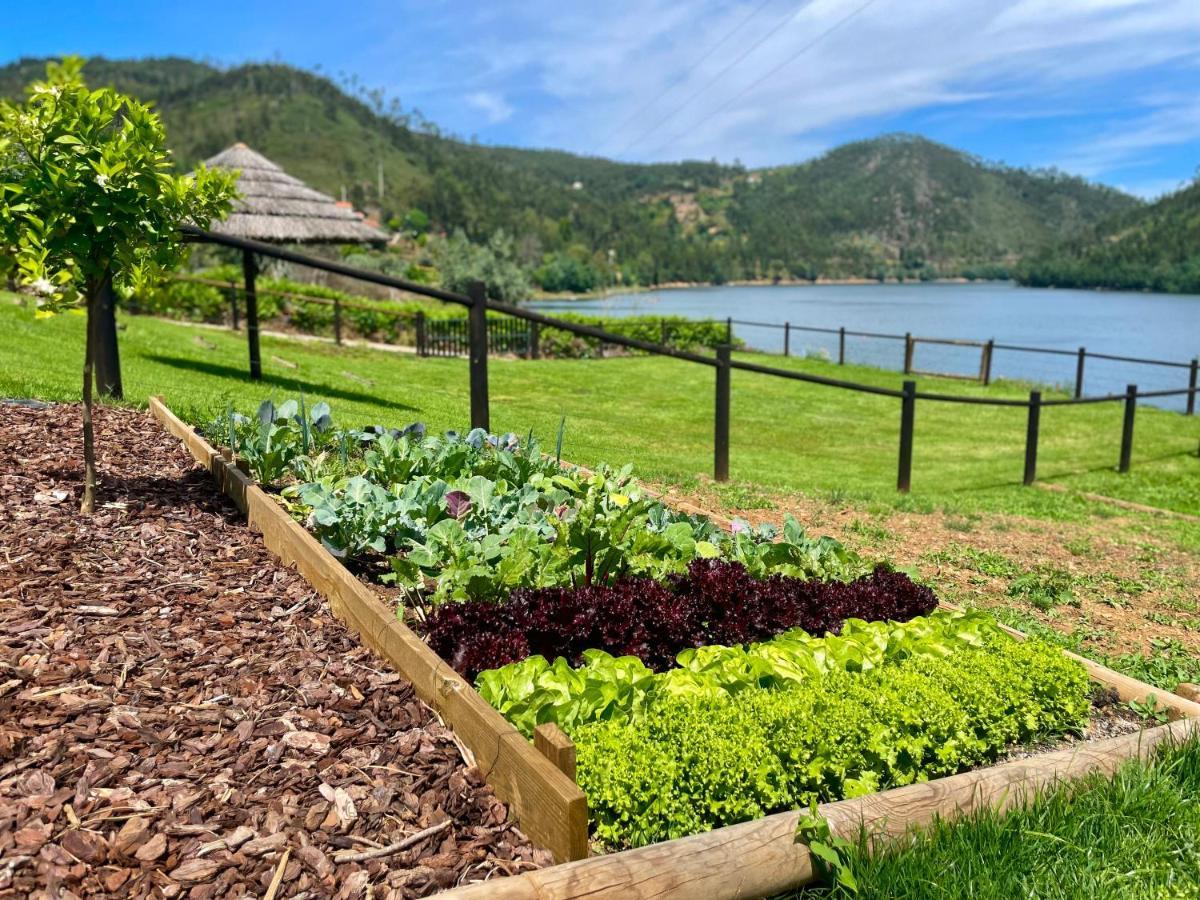 Campos River House Figueiro Dos Vinhos Exterior photo